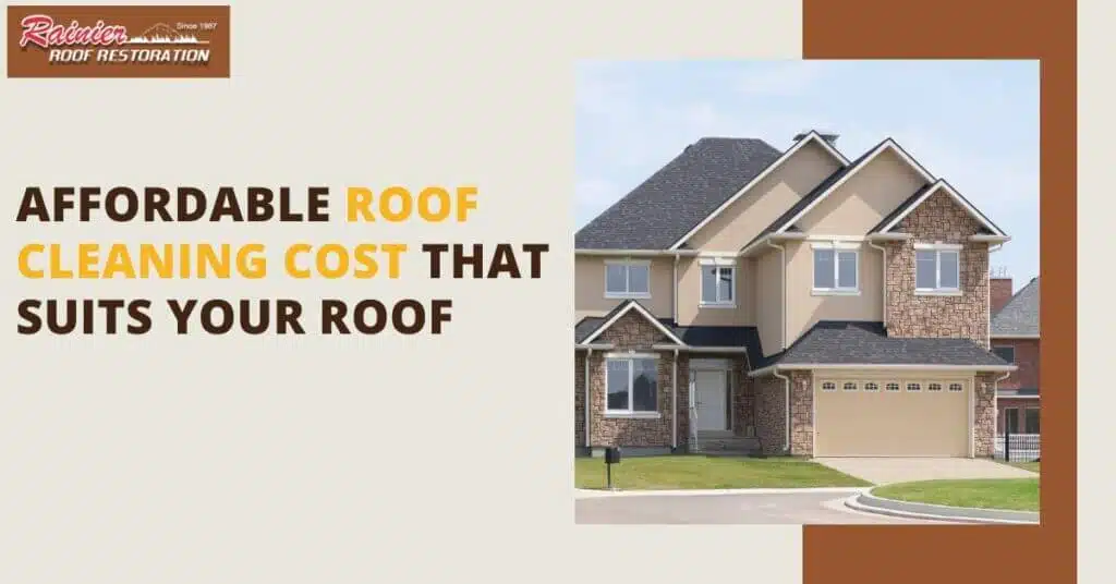 roof-cleaning-cost