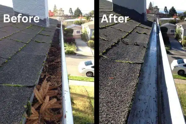 gutter-cleaning-services