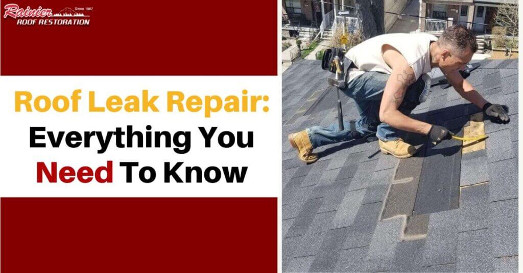 Roof Leak Repair: Everything You Need To Know