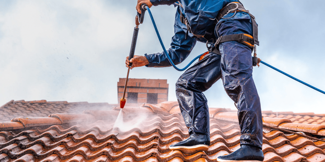 Benefits of Professional Roof Cleaning