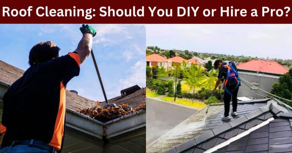 Roof Cleaning Should You DIY or Hire a Pro