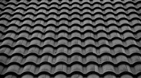 Reliable Renton tile roof cleaning in WA near 98056