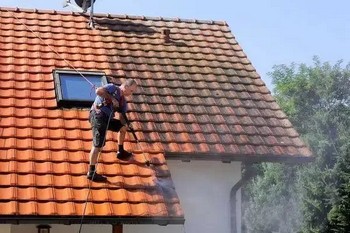 Affordable Redmond roof cleaning in WA near 98052