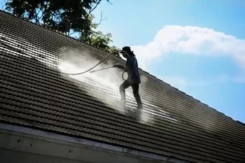Experienced Ballard roof cleaners in WA near 98117
