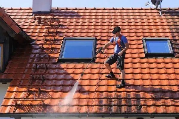 Best Bothell roof cleaners in WA near 98011