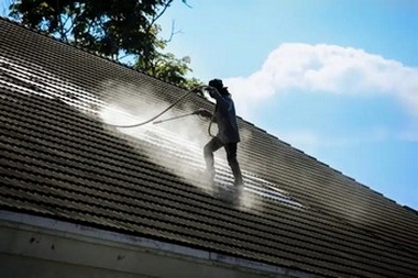 Kirkland tile roof cleaning professionals in WA near 98033