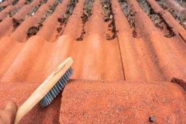 Tacoma tile roof fix expertise in WA near 98402