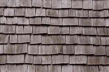 Federal Way cedar shake roof maintenance in WA near 98001