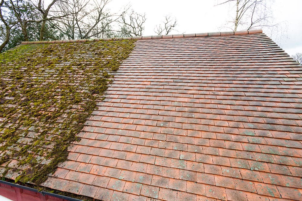 Shoreline moss removal to save your roof in WA near 98133