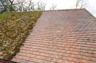 Tacoma roof moss treatment contractors in WA near 98402