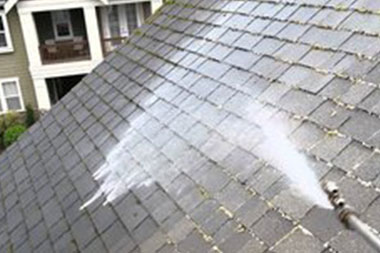 Tacoma soft wash roof cleaning in WA near 98402