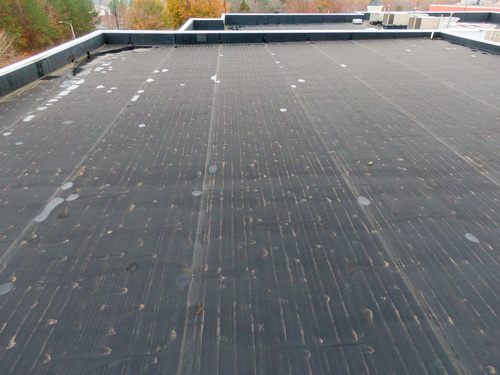 Affordable Ballard commercial roof maintenance in WA near 98117
