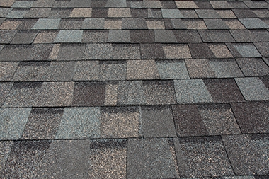 Full service Bellevue composition roof cleaning in WA near 98006