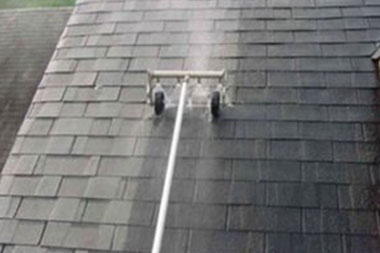 Bellevue roof moss killer options in WA near 98006