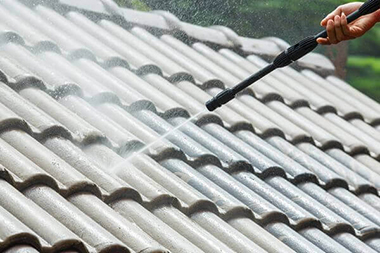 Local Bellevue tile roof cleaning near me in WA near 98006