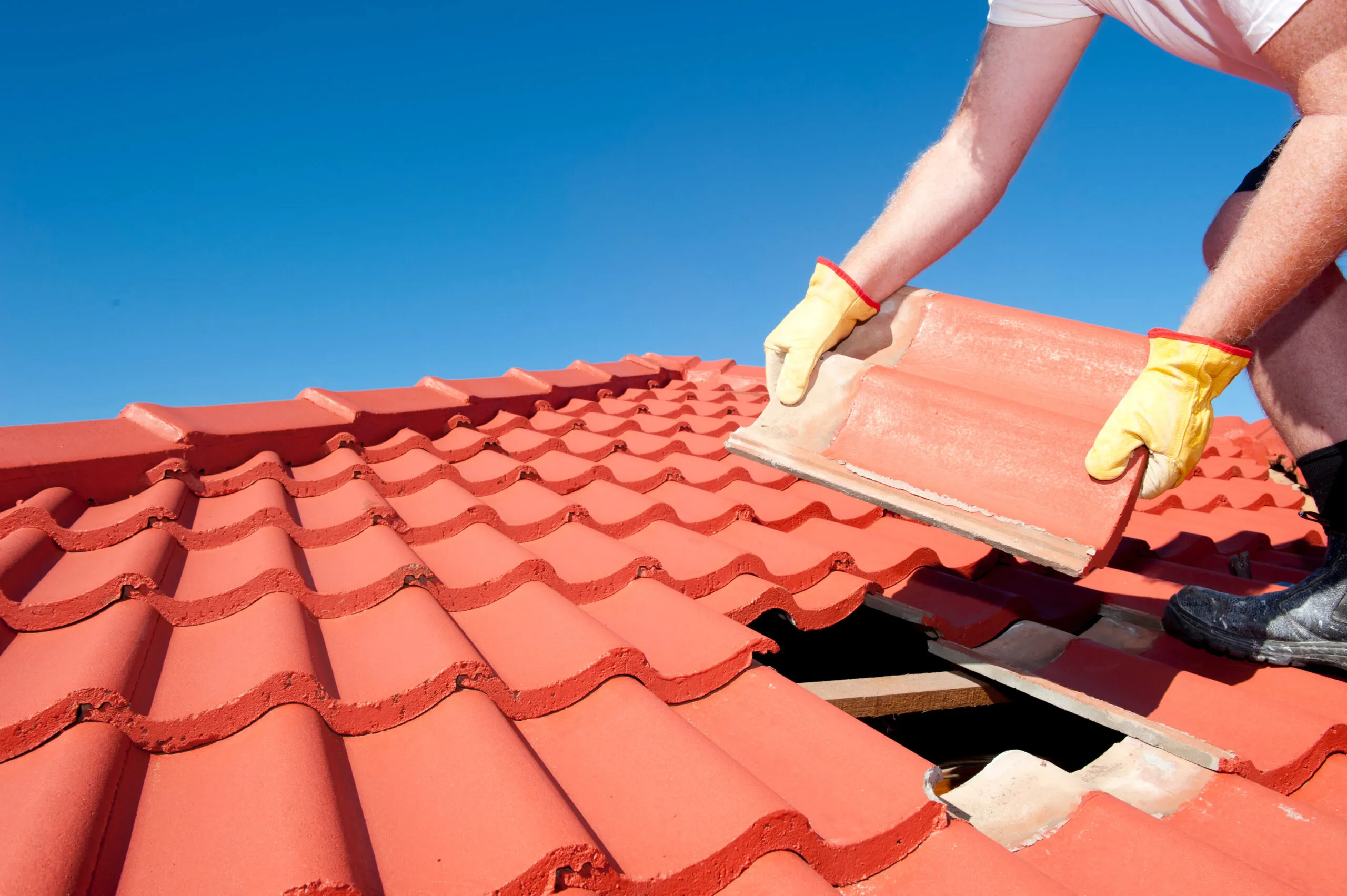 Ballard Roof Damage Repair