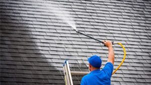 cottage lake roof cleaning