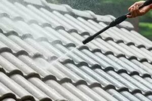 fife roof cleaners