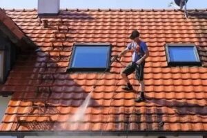 lake forest park emergency roof leaks