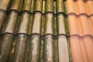 lake sammamish moss killer roof