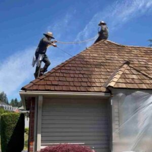 Medina Roof Inspection