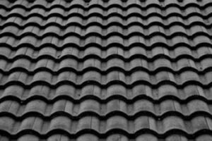 Ravensdale Roof Cleaning