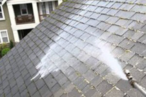 Sammamish Roof Cleaning Company
