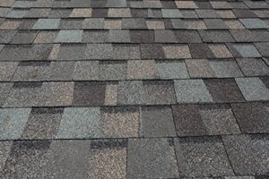 Sammamish Roof Washing Services