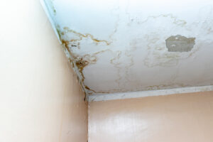 south hill leaking roofs