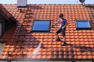 University Place Moss Remover